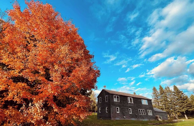 Grey Wulff on Main - convenient to downtown Rangeley and Saddleback MTN!
