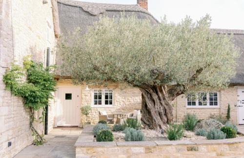 Greystone Guesthouse
