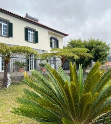 Guest House Santinhos