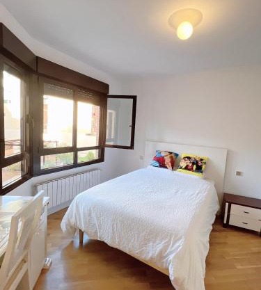 Habitación individual cómoda y luminosa con cama grande