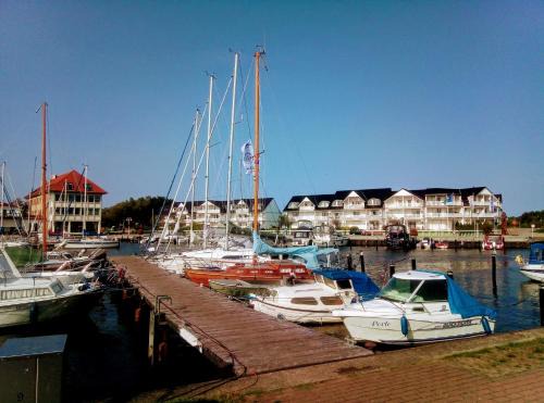 Hafenkiek 39