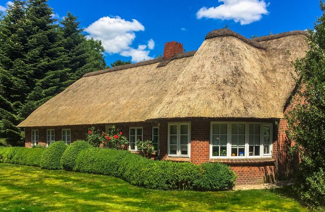 Half of the house under thatch, private terrace, close to the North Sea, idyllic location, cozy