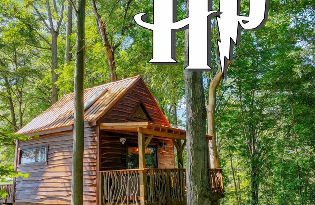 Harry Potter's Treehouse Burrow
