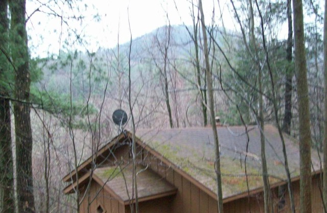Helton Falls Lodge-Bear Getaway