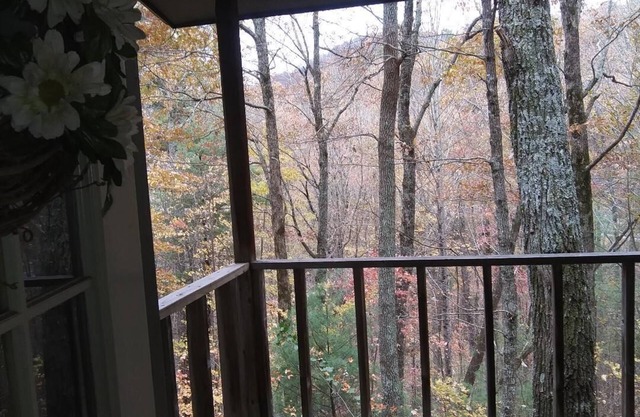 Helton Falls Lodge-Owl's Nest