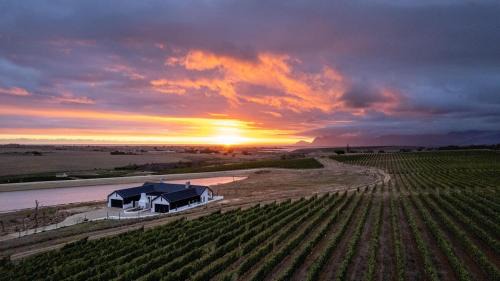 Hermanus - Escape Wines - House on Wine & Protea farm