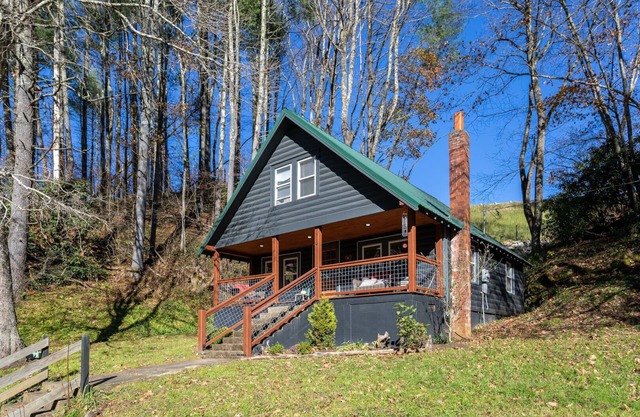 Hidden Cabin on Old Field Creek Quaint cottage near Boone with creek frontage