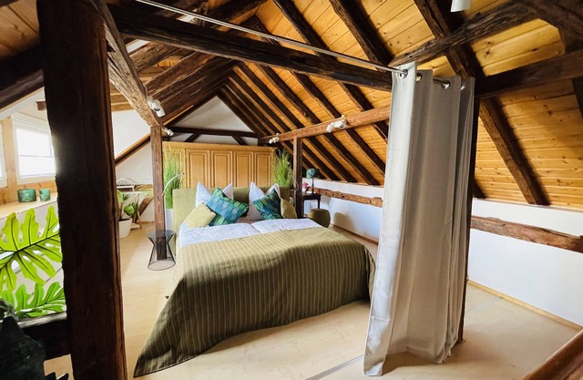 Historic vacation home on the Main, 110 sqm, large terrace, modern and renovated
