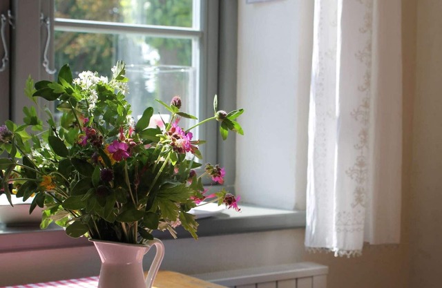 holiday apartment in Steffenshagen with garden
