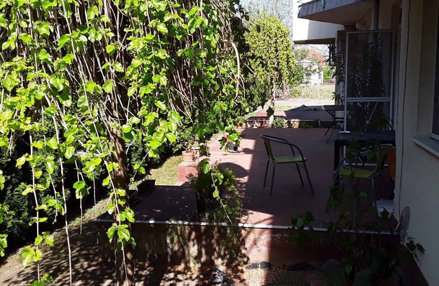 Holiday apartment 350 meters from the beach