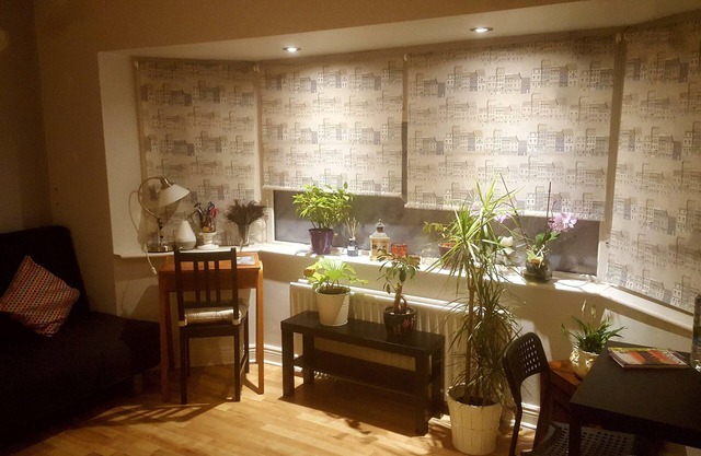 Holiday apartment Dublin City - free parking.
