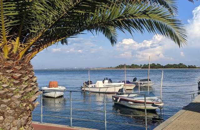 Holiday apartment São Jacinto for 1 - 4 persons with 1 bedroom - Holiday apartment in one or multi-f