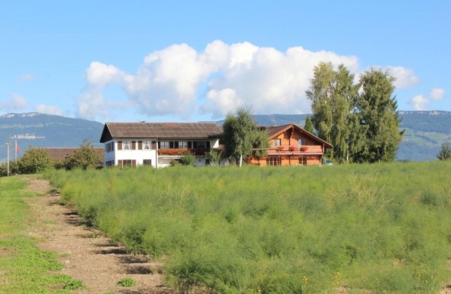 Holiday apartment Subingen for 1 - 4 persons with 2 bedrooms - Farmhouse