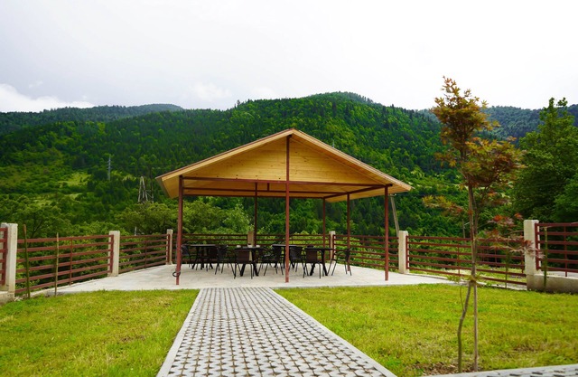 Holiday Borjomi