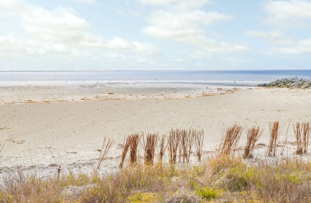 Holiday bungalow for 6 in Baarland
