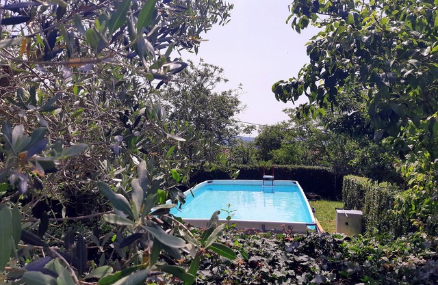 Holiday house with a swimming pool Čepić, Central Istria - Središnja Istra (K-7403)