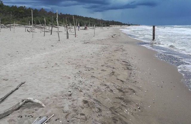 Holiday park Classe - MH6 Atlantico (2809)