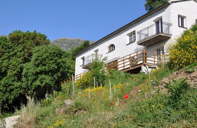 Holiday Rentals Cap Corse 2 to 6 people forest view.