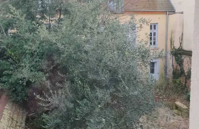 Homerez - Apartment in Limeil-Brévannes