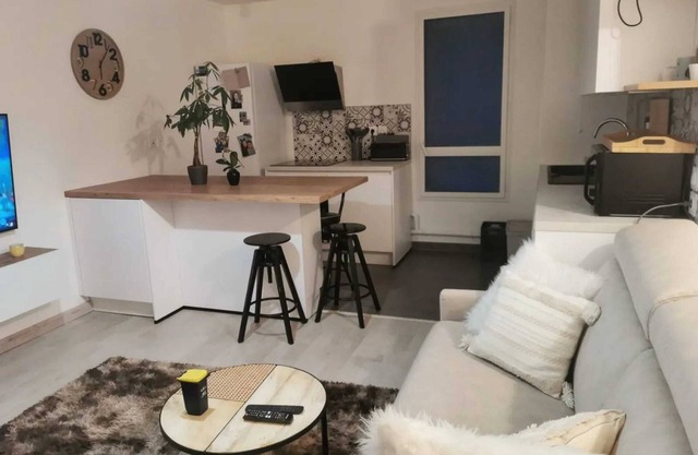 Homerez - Apt Viroflay park. ter.