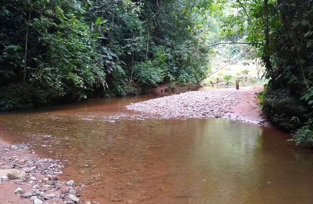 Hospedaje Monte Verde