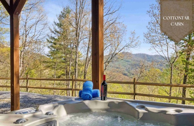 Hot tub, table tennis, arcade games, fire pit.