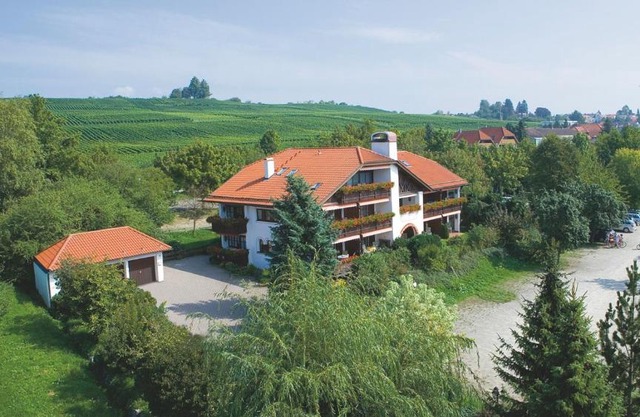 Hotel Alpina