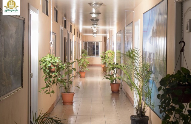 Hotel Arrecifes