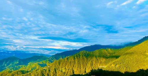 Hotel Brownie - Best Selling Hotel In Dalhousie