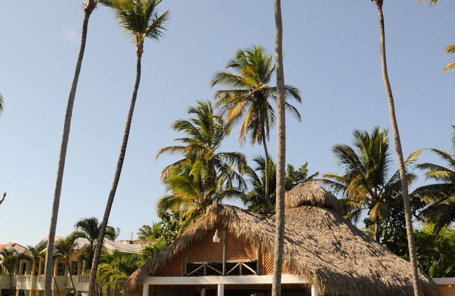 Hotel Cortecito Inn Bavaro