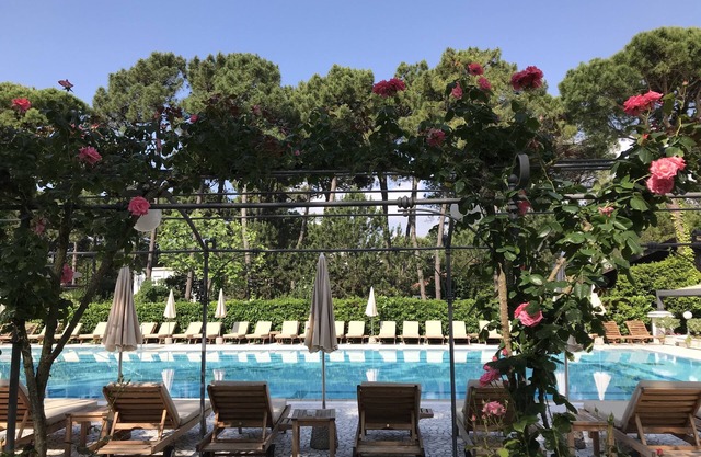 Hotel Greif