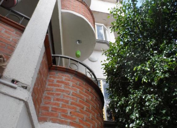 Hotel Internacional Malitsin