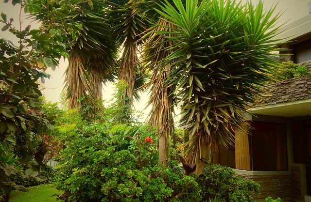 Hotel Rubus