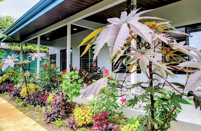 House for 8 People w/WiFi, AC-5 Mins to Dominical Beach, 30 Mins to N. Park.