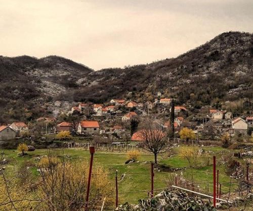 house on the hill