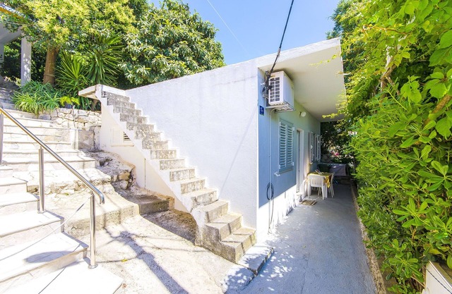 House Rose (44391-K1) - Zivogosce
