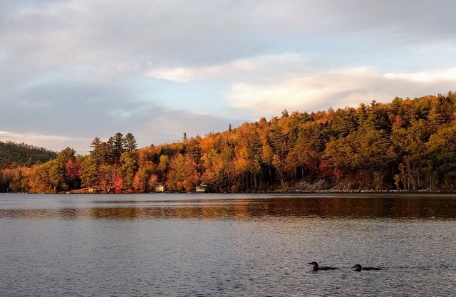 Howard Pond - Family-Friendly And Pet-Friendly Quiet Home
