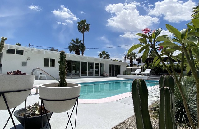 I Dream Of Palm Springs