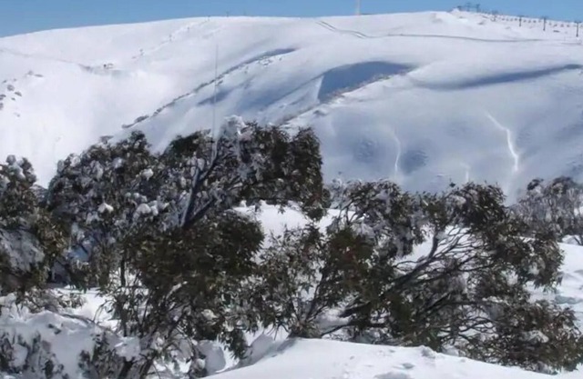 IceBreaker - Hotham Heights