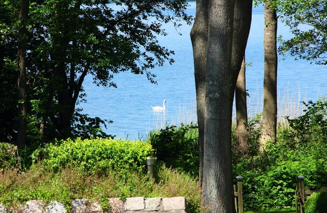 In the first location to the Wittensee with lots of space, WiFi, lake view