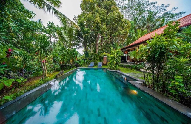 Infinity Jungle View Aashaya Villa Ubud