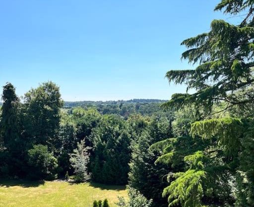 Ipsley Lodge Apartment Surrey Hills