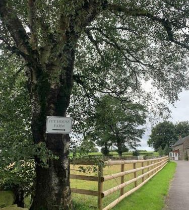 Ivy House