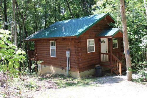 Jack Pine Hollow