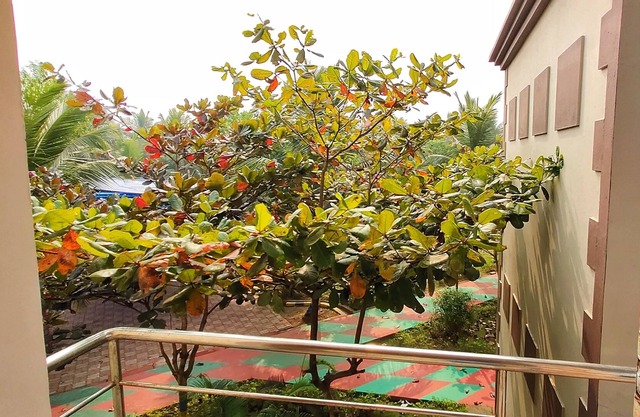 Janardan Coco Palms Resort