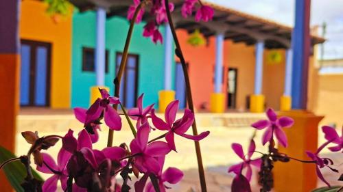 Jazmin Hotel Boutique Colonial