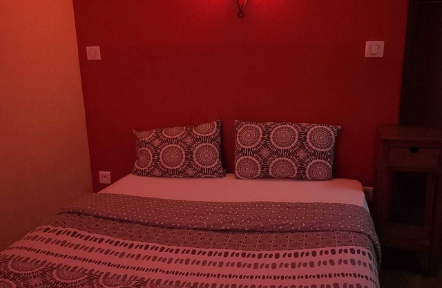 JETEE SUR LA LOIRE (APT N°12)