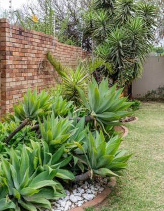 Jewel of Jozi
