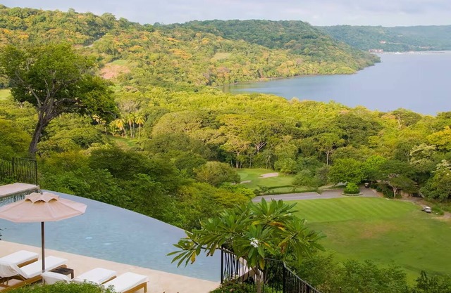 Just Renovated—Free Beach Club Passes, The BEST Monkey Views!