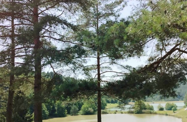 KaiTea Suites, útočiště klidu a relaxace v srdci lesa u přehrady.